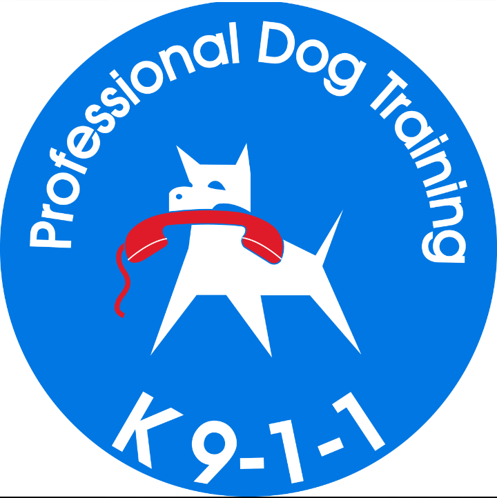 Pet Trainer in Lebanon: Professional dog training