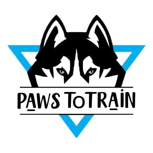 Pet Trainer in Lebanon: Paws to train
